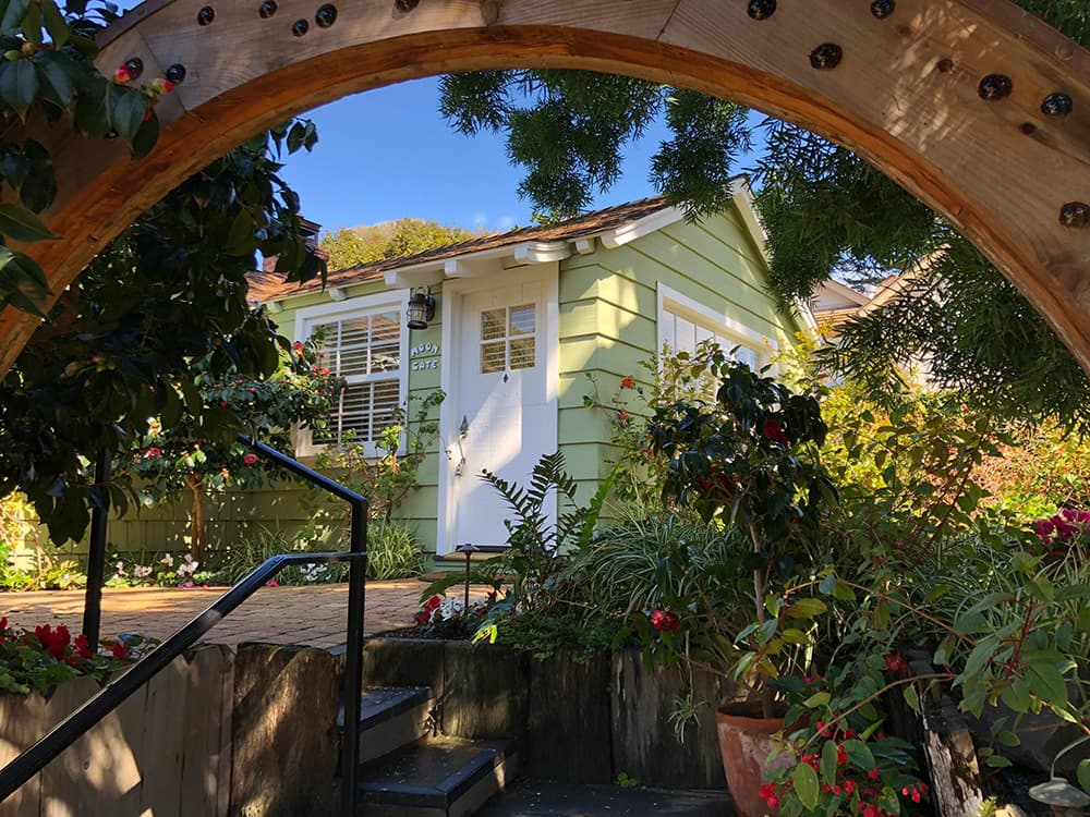 A quaint green house surrounded by vibrant plants and flowers, viewed through an archway.