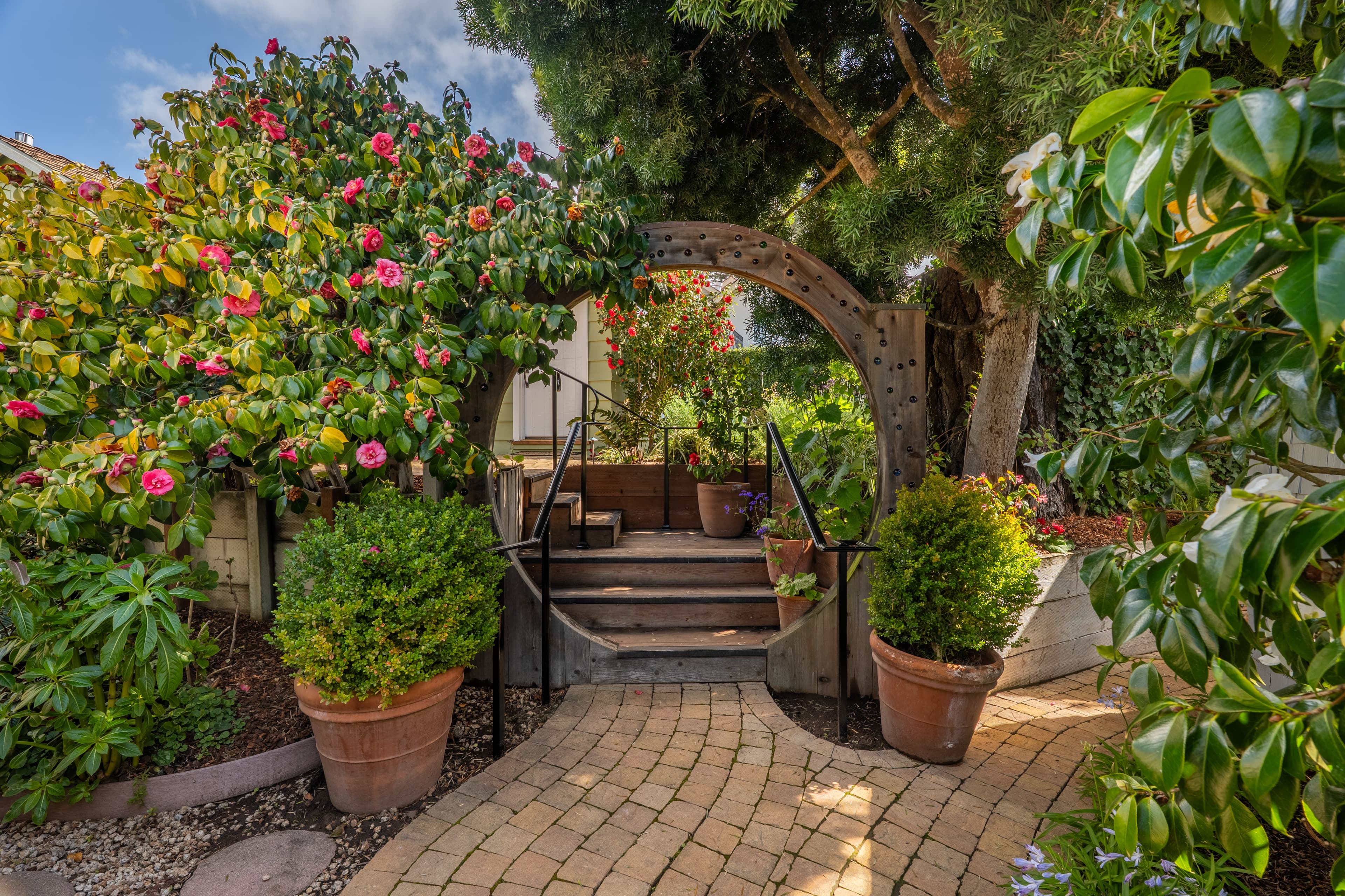 A stone-paved garden path leading to wooden stairs under a rustic wooden archway, surrounded by blooming pink camellia bushes and lush green potted plants.